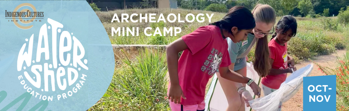 Archaeology Mini Camps