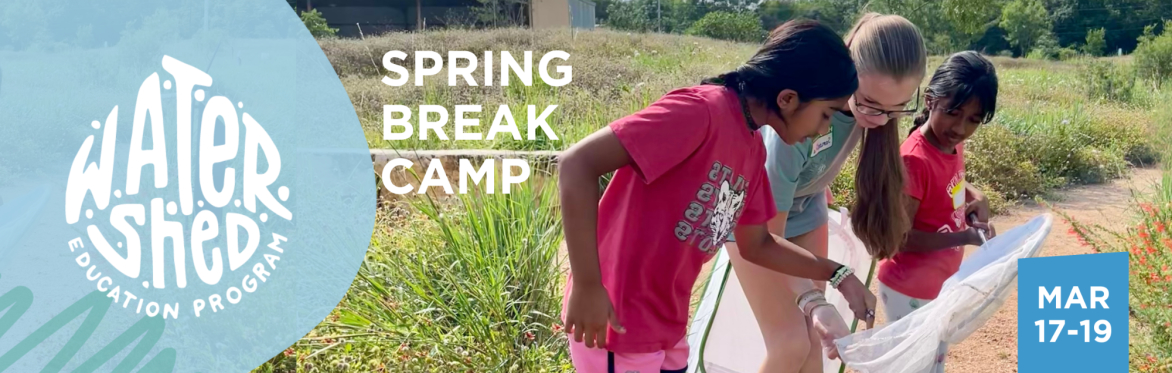 2025 Spring Break Mini Camp