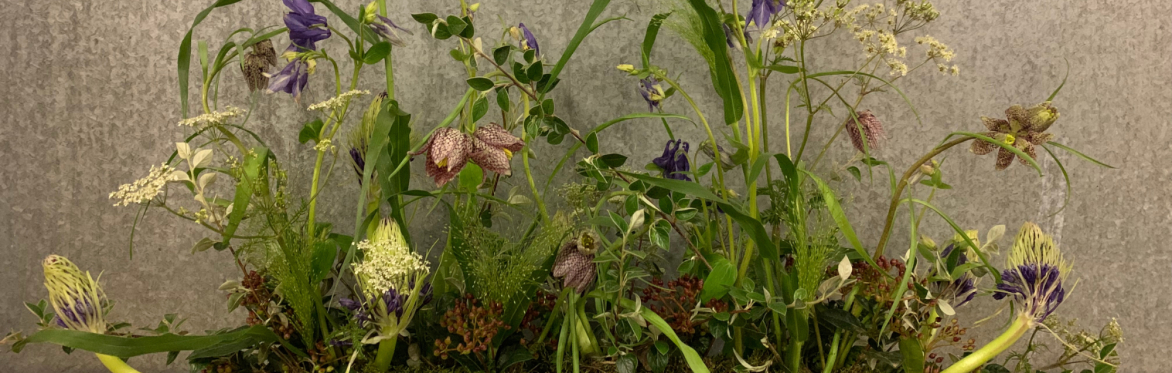Autumn Equinox Gathering with Amanda Randell Cox