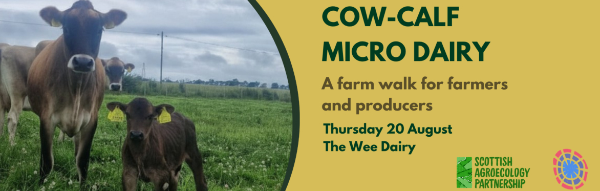 Farm Walk: Cow-Calf Micro Dairy