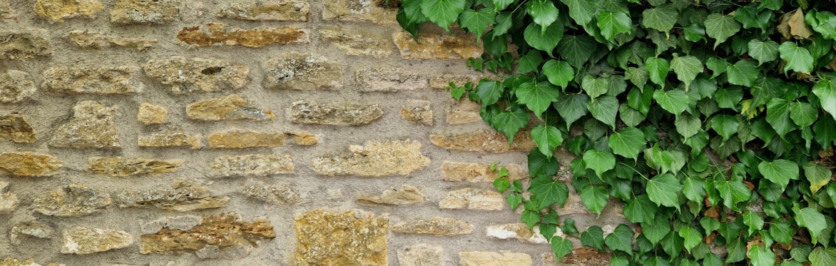 Frome Building Stones - Walking Festival