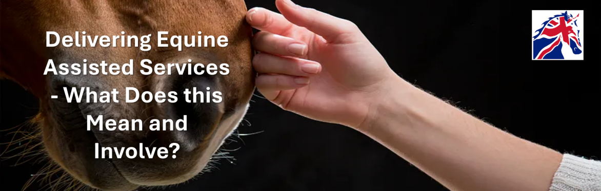 Delivering Equine Assisted Services  - What Does this Mean and Involve?