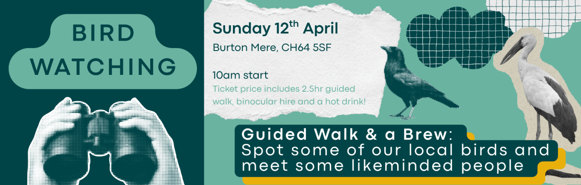 Bird Watching: A Guided Walk & A Brew