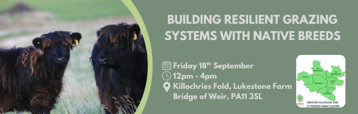 Farm Tour: Building Resilient Grazing Systems with Native Breeds