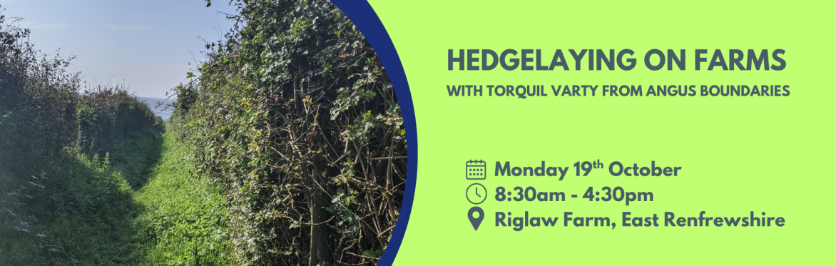 Hedgelaying on farms