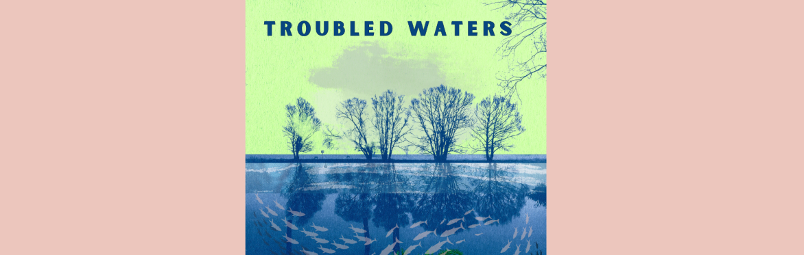 Troubled Waters by Corinne Harragin
