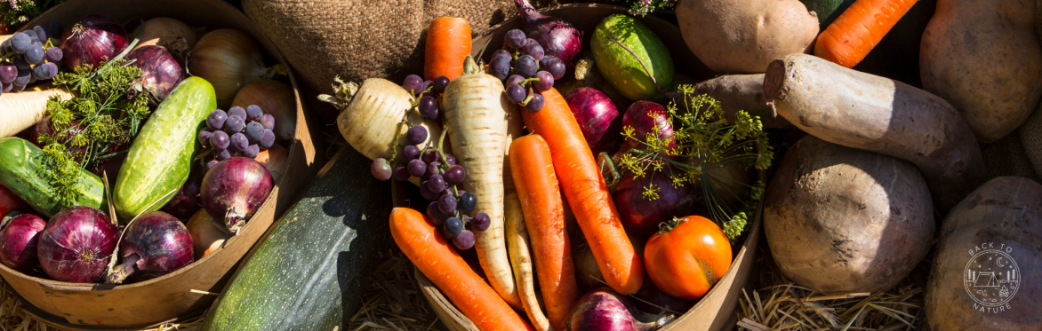 Nature-based sessions for women: Harvest feast