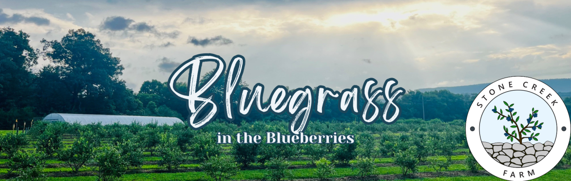 Bluegrass in the Blueberries 2026