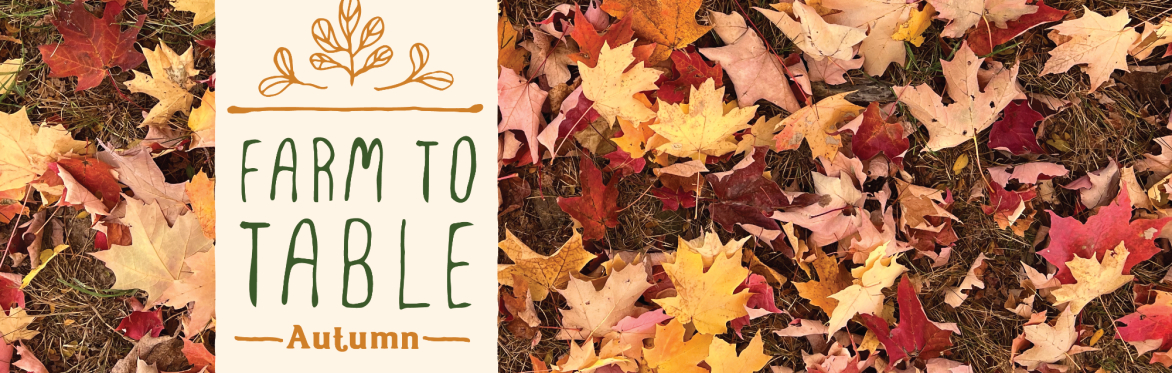 Farm To Table: Autumn Dinner