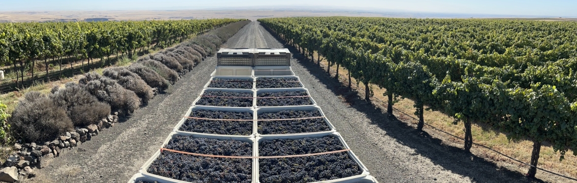 Virtue Wine Release & Club Tasting Event