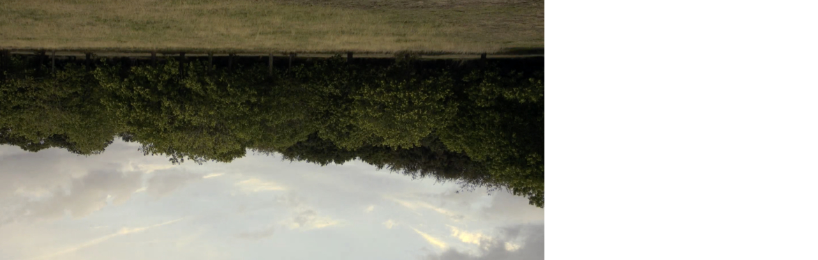 Film Screening: ADAM KOSSOFF RECENT SHORT FILMS