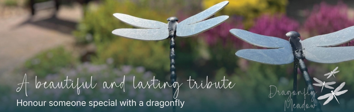 Reserve your Dragonfly