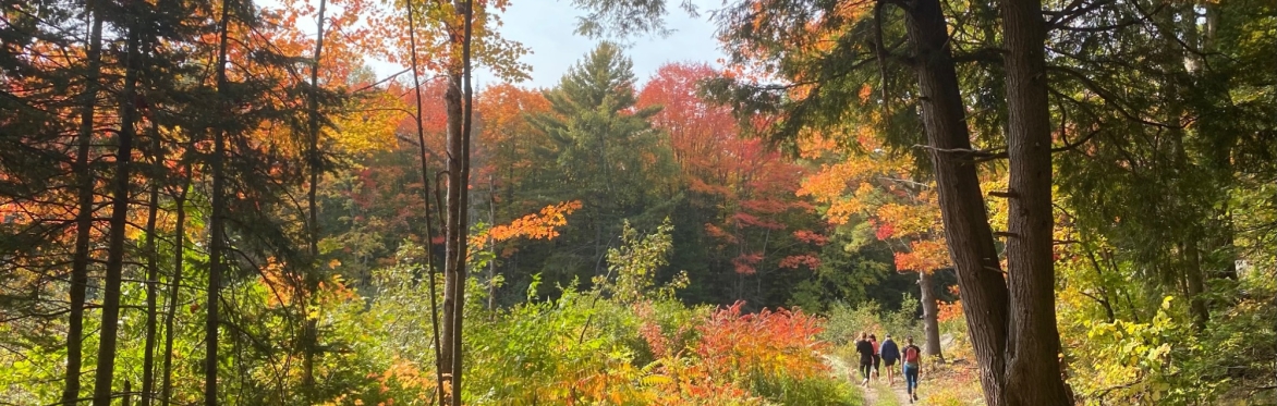 Musical Nature Walk 2025