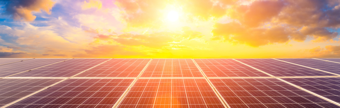 Washtenaw Solarize - Virtual