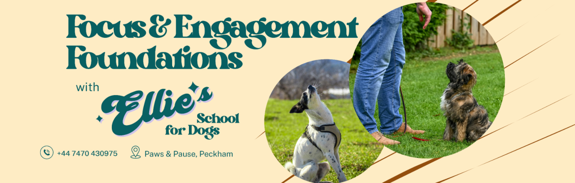 Focus & Engagement Foundations