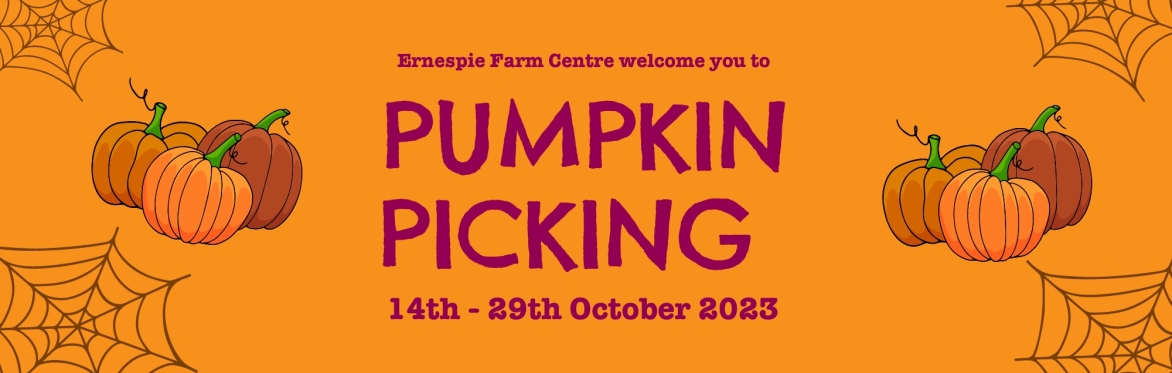Pumpkin Picking