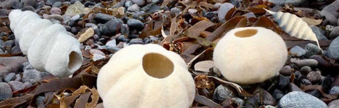 Sculptural Felting Workshop