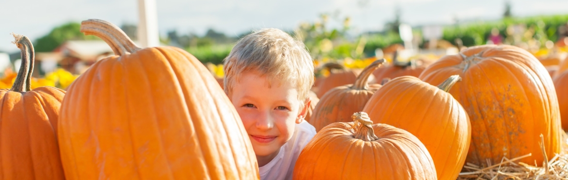 Pumpkins at the Park