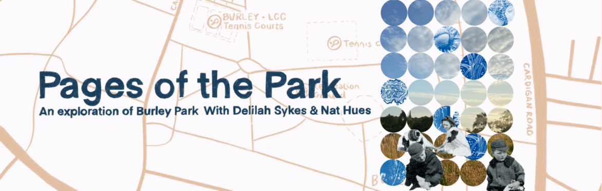 Pages of the Park | Community Cabinet of Curiosities Creation with Nat Hues