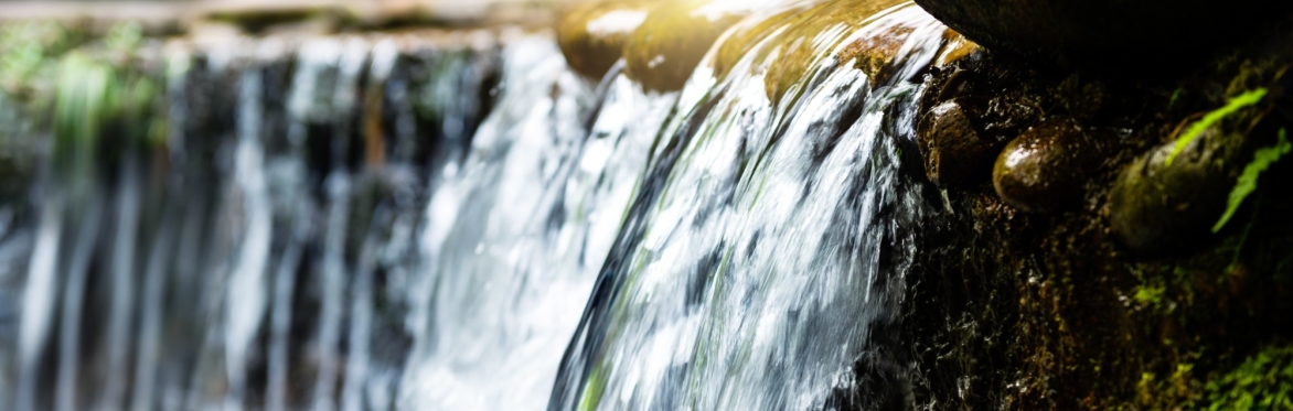 Japan Water Stewardship Forum / ジャパン・ウォータースチュワードシップ・フォーラム