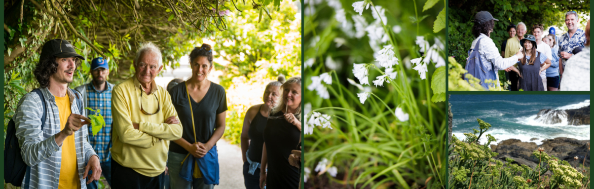 Foraging workshop