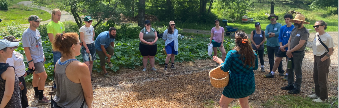 Foraging Class with Rachel Alexandrou