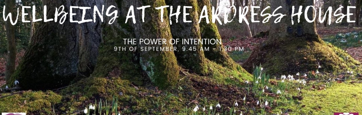 Wellbeing at Ardress House - The Power of Intention