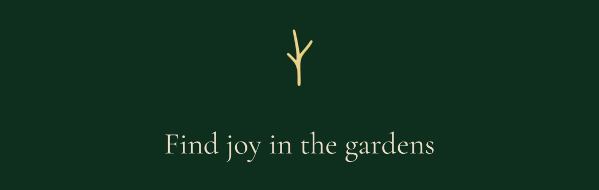 Get Rooted: Yoga & Sound at Tioga Gardens
