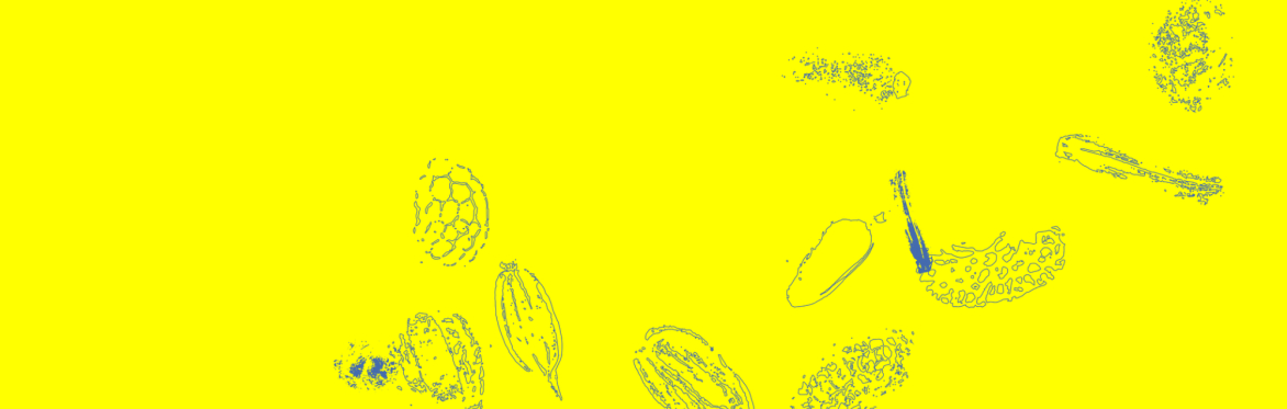 THE RESILIENT SEED: Samhain Seed Walk