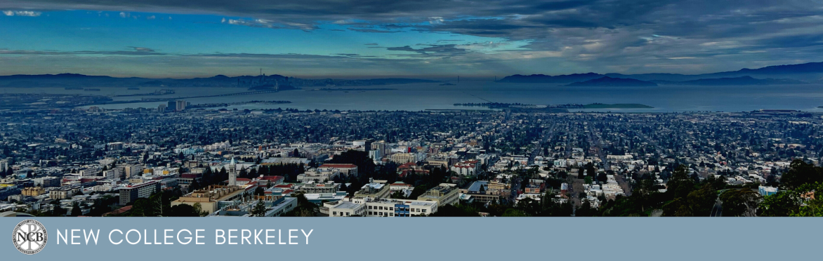 Berkeley Palmer Lecture -  The Mystery of the Divine Economy