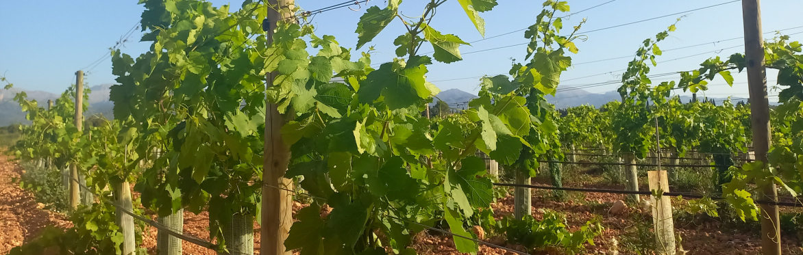Open Farm Tasting Tour on Fridays