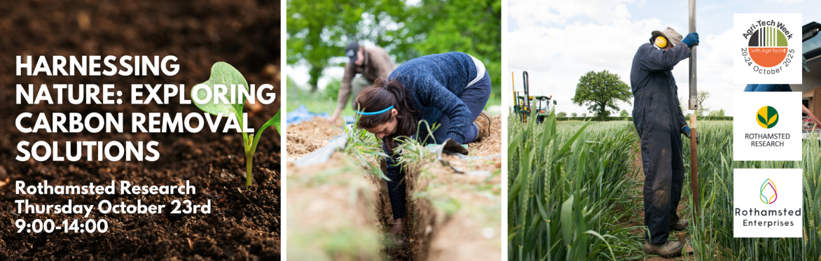 Harnessing nature: Exploring carbon removal solutions