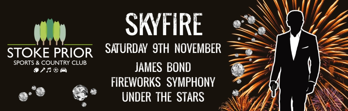 Skyfire - Bonfire Night Extravaganza