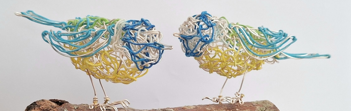 Create a pair of colourful wire blue tits