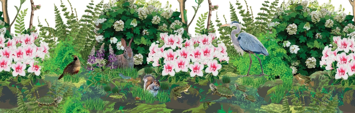 87th Azalea Trail - River Oaks Garden Club