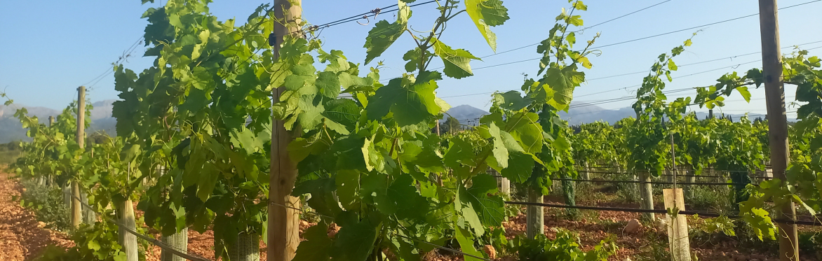 Open Farm Tasting Tour on Fridays