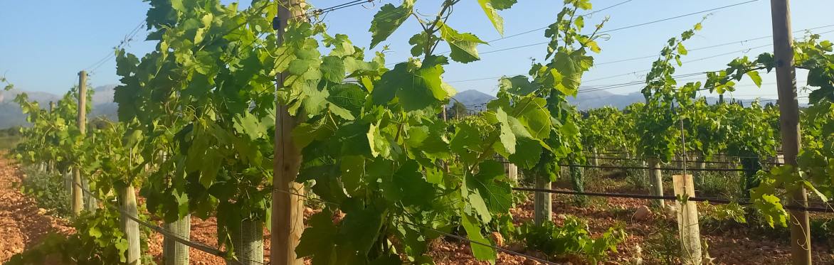 Open Farm Tasting Tour on Fridays