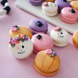 Pumpkins and Potions Macaron Class