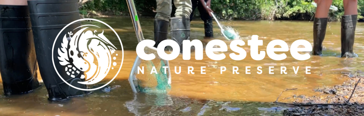 Water Striders Family Adventure