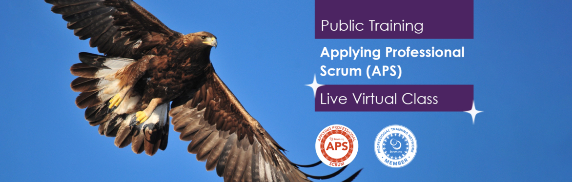 Applying Professional Scrum (APS)