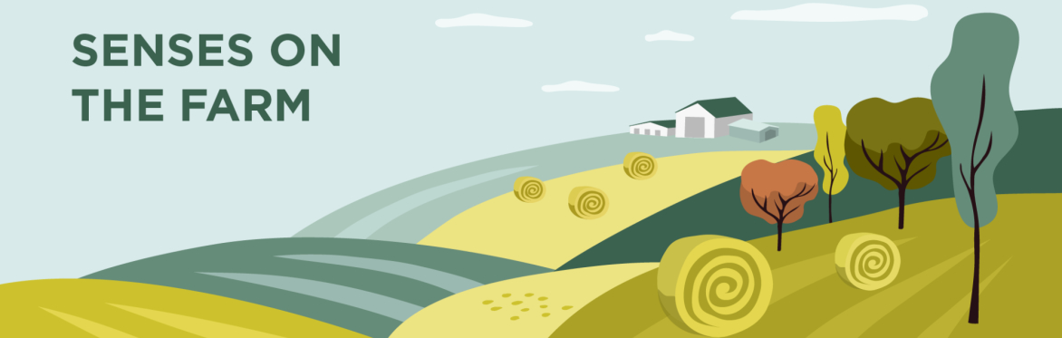 Senses on the Farm PM for 3rd-6th Grades