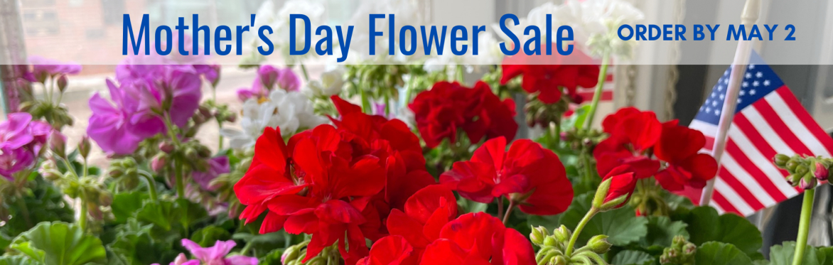 Buffalo Naval Park Mother's Day Geranium Sale