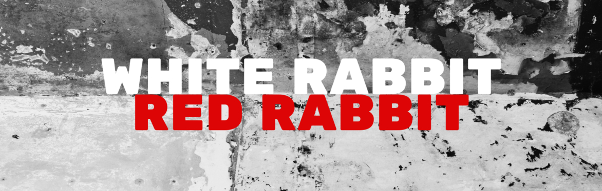 White Rabbit Red Rabbit