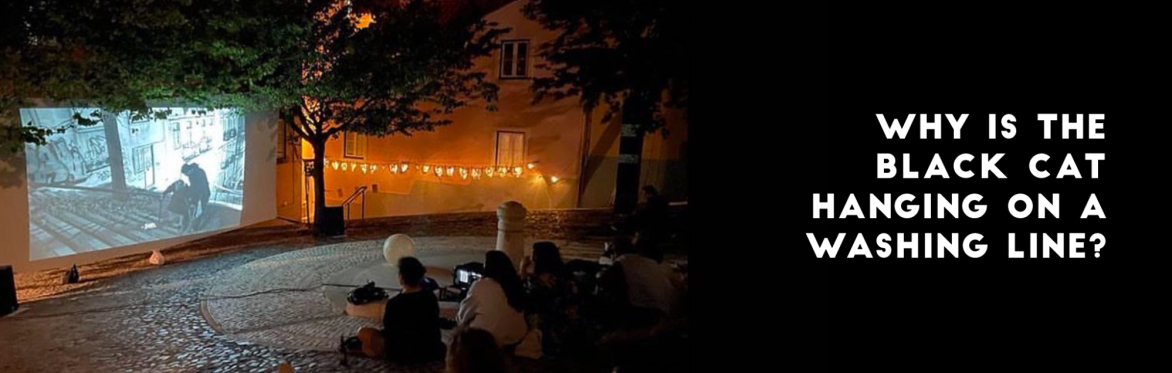 Street Cinema. Short film night: Why is the black cat on the washing line?