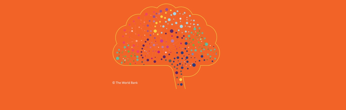Global Education ‘Smart Buys’:  Debating the Evidence