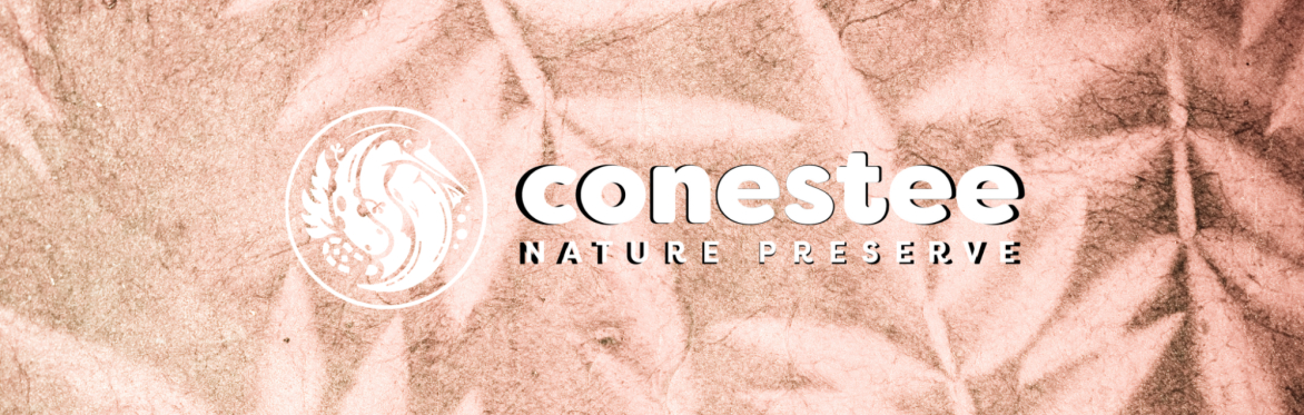 Conestee Crafting - Solar Art