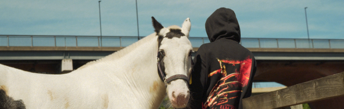 Horses!