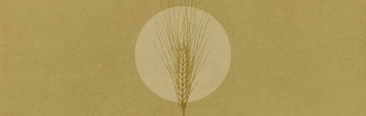 Harvest Celebration - Lammas: Ancient Wisdom, Guided Meditation, Nature Connection and Self-Reflection