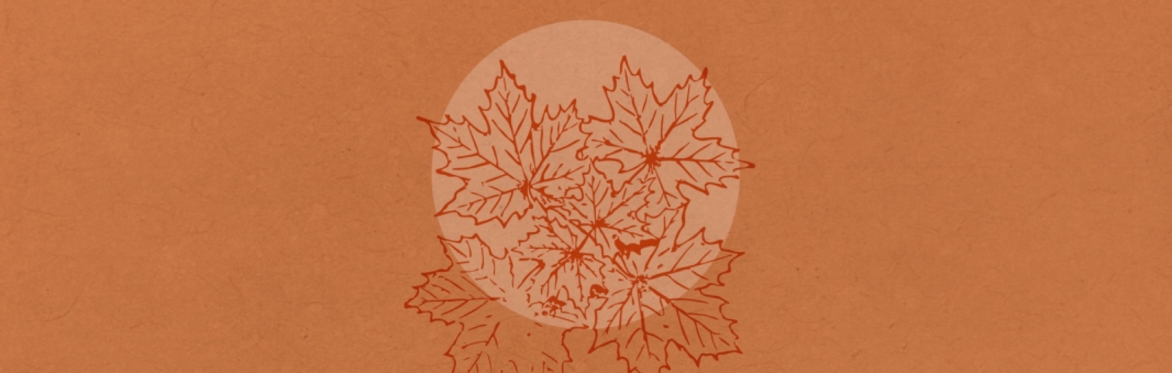 Autumn Equinox Celebration: Meditation, Ancient Wisdom, Reflection and Nature Connection