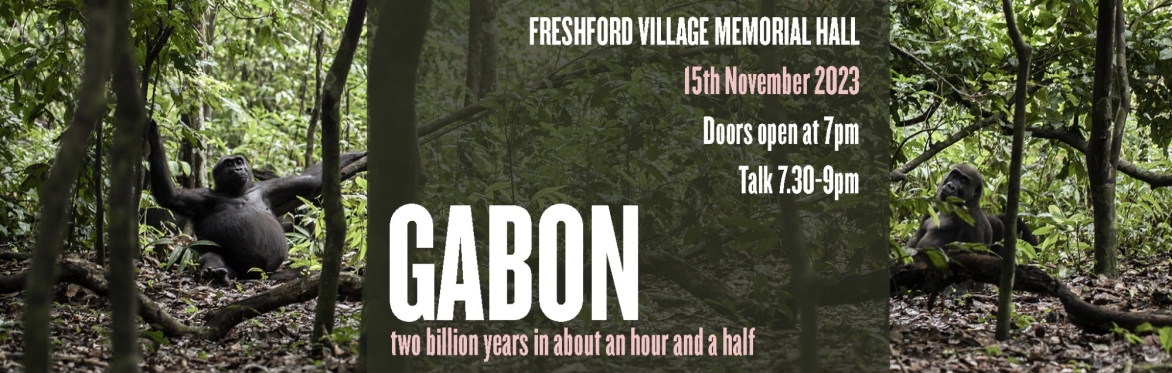 An Evening in the African Rainforest of Gabon